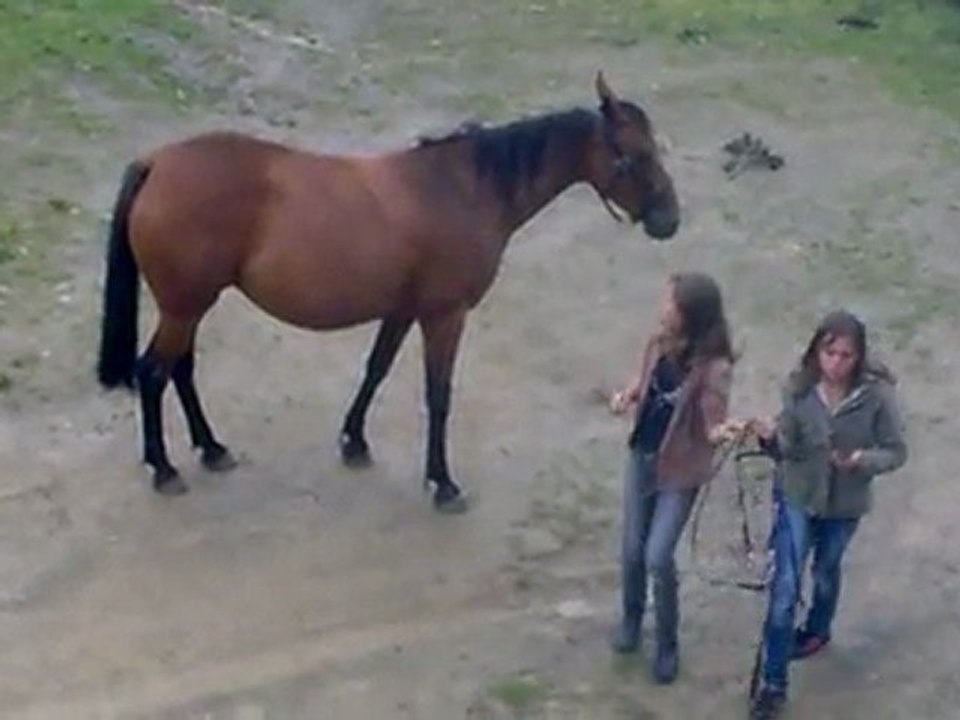 Piquepaille juju sauvage