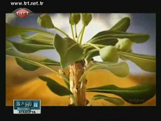 NİYET Bir kazık iki adam animasyon hikaye TRT