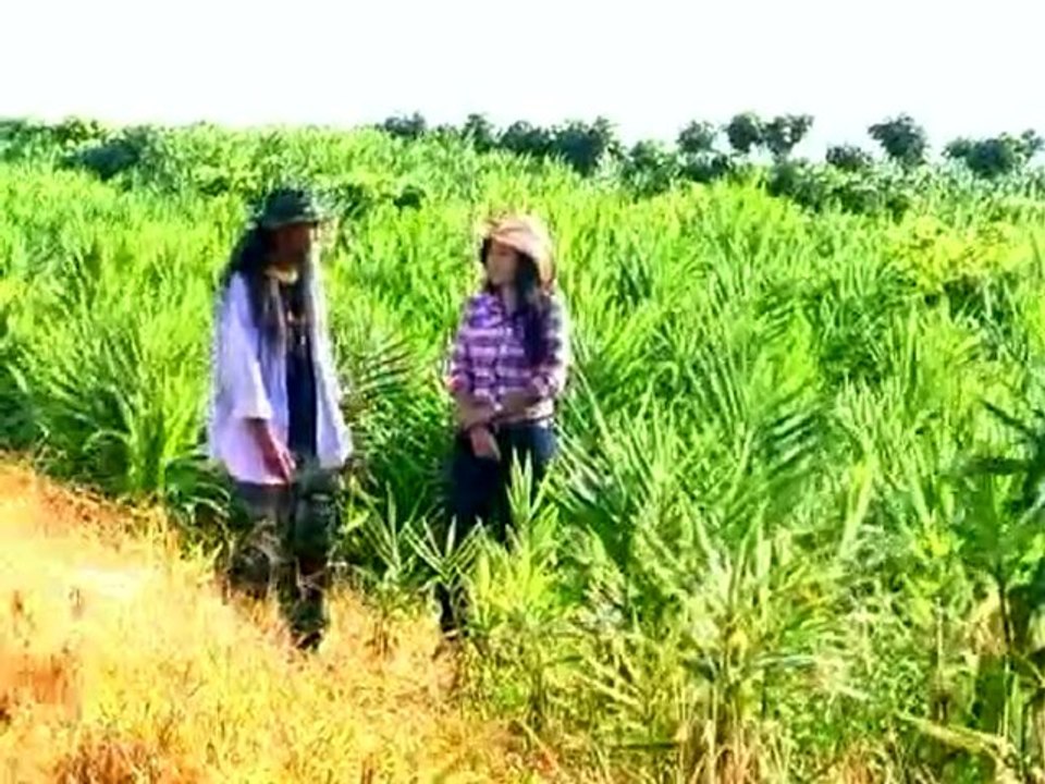 samoon 09 ไพล