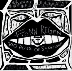 Fionn Regan – 100 Acres Of Sycamore (2011) 320kbps Free Download