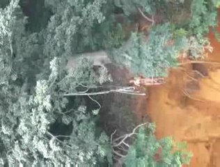 Zwei-Story Rope Swing-Fail