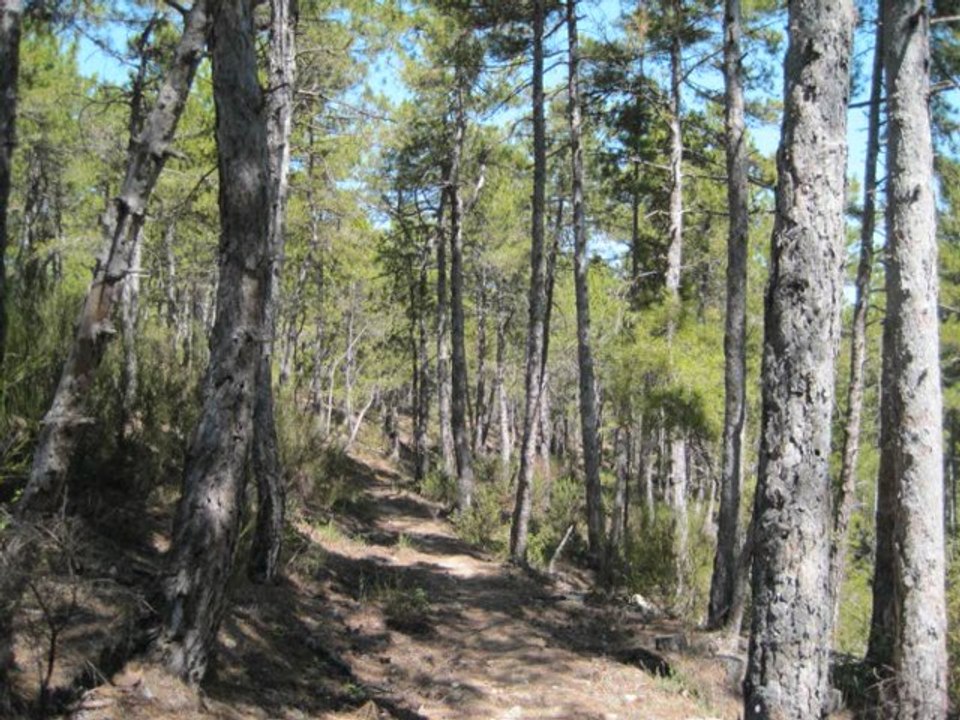 col de Fins depuis Veïnat de Baix commune de Fuilla