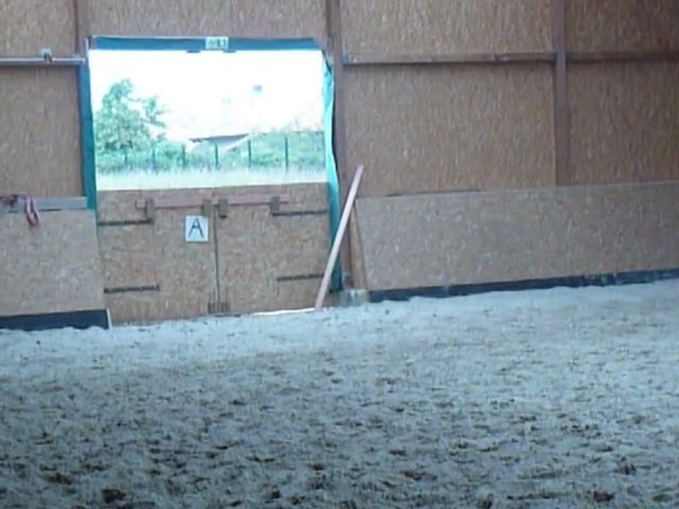 P1440623 HABAS - ECURIES D'ANKARIA -