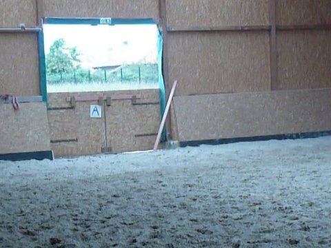 P1440623 HABAS - ECURIES D'ANKARIA -