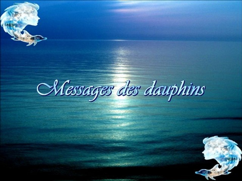 Messages des dauphins