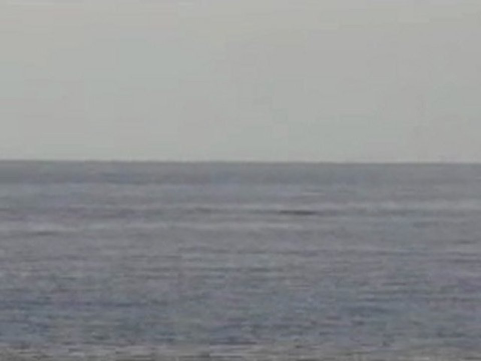 COS Whale Watching2