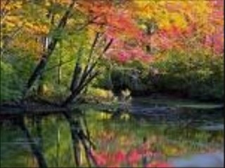 YARAB SANA ŞÜKÜRLER OLSUN._0001