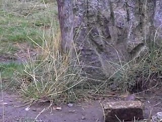 video vacances Besseges 2011 012