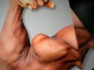 musclé les biceps