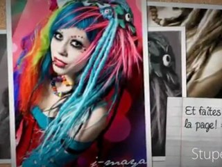 Catalogue Des Crinières Folles