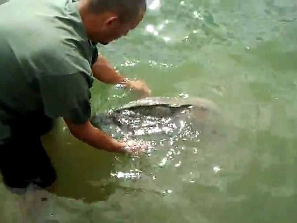 Vidéo0003