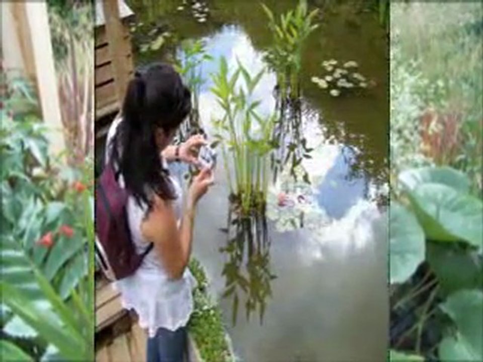JARDINS MERVEILLEUX
