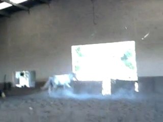 Vidéo0076