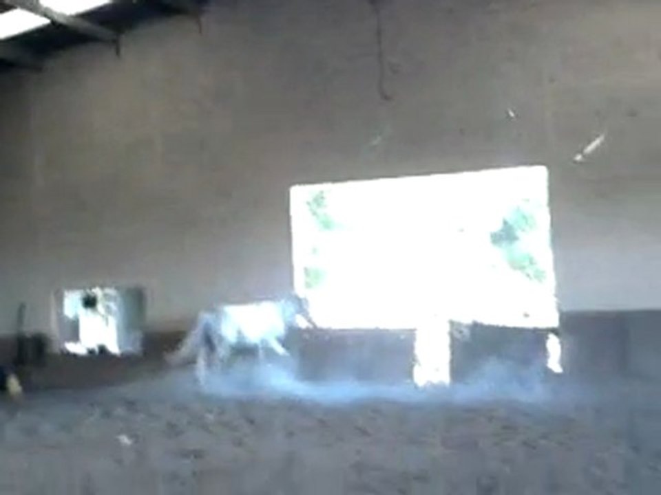 Vidéo0076