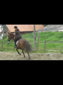 Concours du 26.06.2011 écurie de la colme épreuve 2