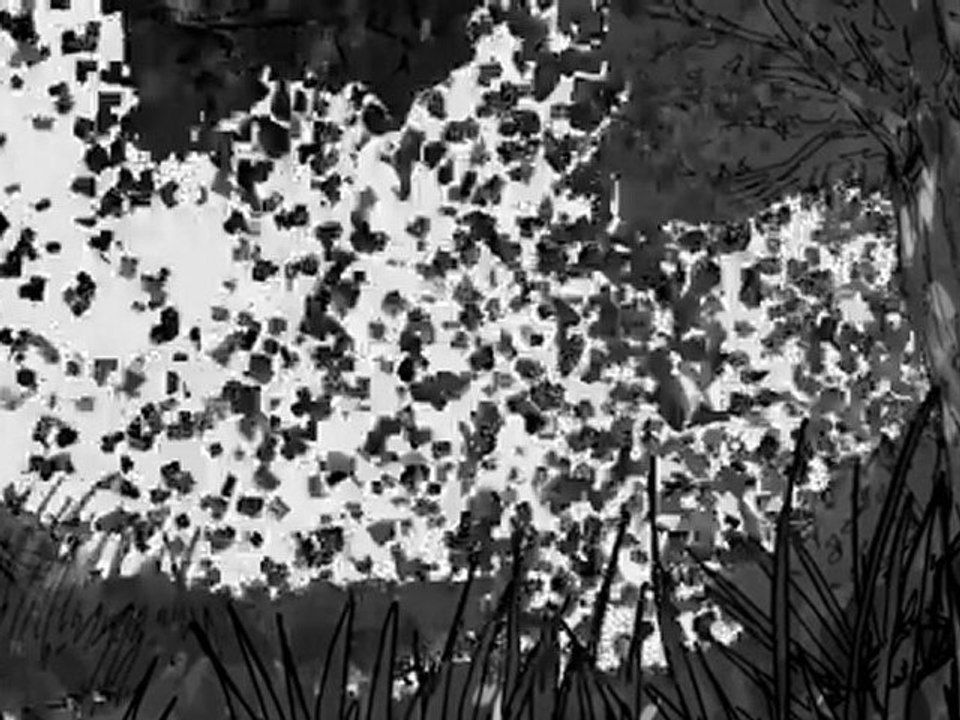 L'HERBORISTE Animatique 2D