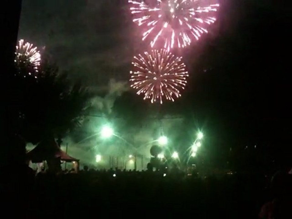 " Feu d'artifice des fêtes de G'nève..."