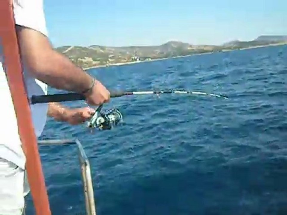 Antenli MERCAN (SUYA İADE EDİLDİ)