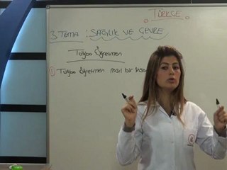 İlköğretim 2.Sınıf Türkçe Görüntülü Set