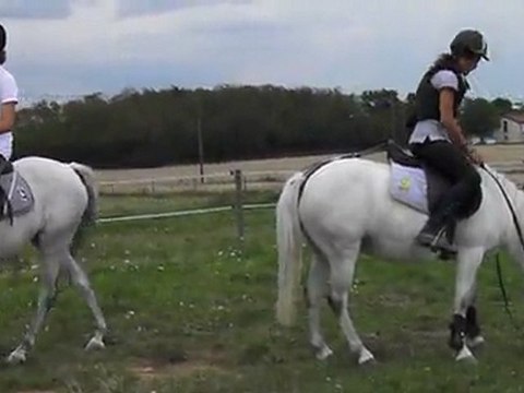 Premier tronc sauté pour nos ponette (: