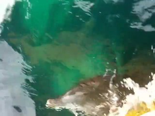 on fait quand méme s quon veut ici