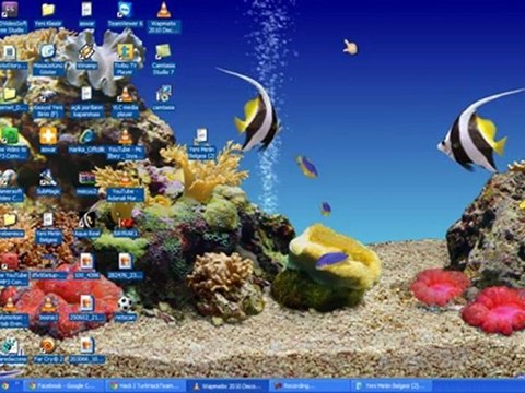 dns ayarı nasıl yapılır izle