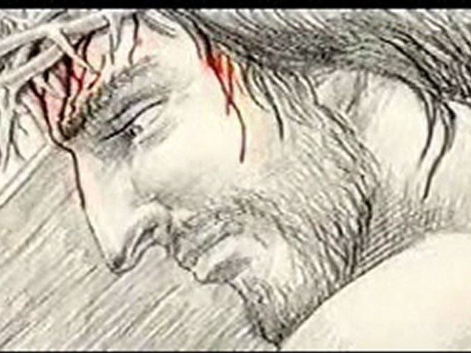 watch the lamb