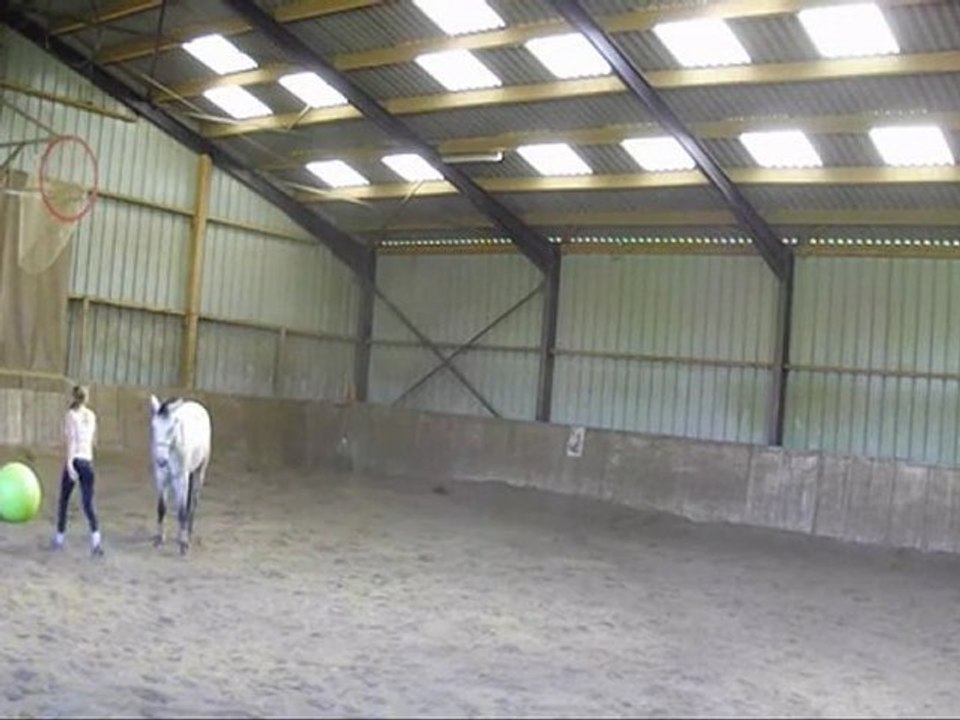 6 mois avec Tchek... à pied