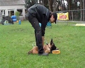 Video Tommy  Junior 3 mois et demi