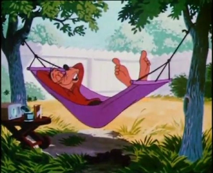 Los Canguros (El Maravilloso Mundo de los Animales de Disney)