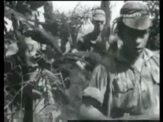 Guerra do Ultramar: Os meios de defesa