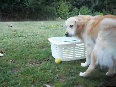 Voy range tes balles!!