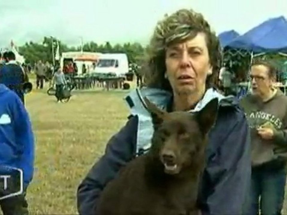 TV VENDEE : Les animaux à l’honneur à Luçon : Charlène