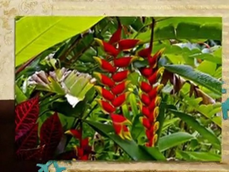 Canon EOS Rebel T3i SLR Camera Best Deal Online