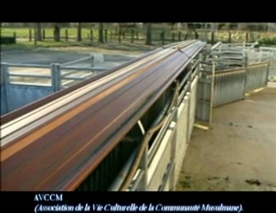 avccm
