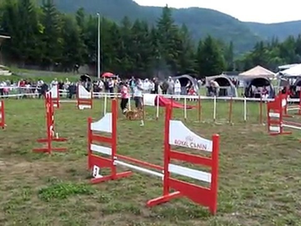 Mende jumping