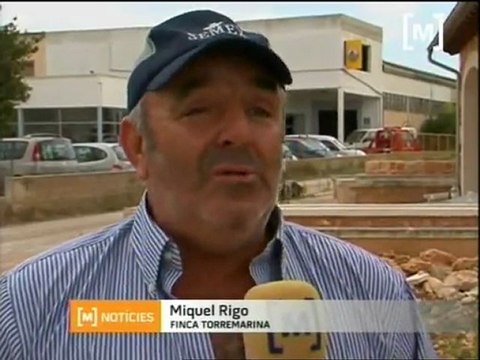 El preu de l'alfals alarma els ramaders