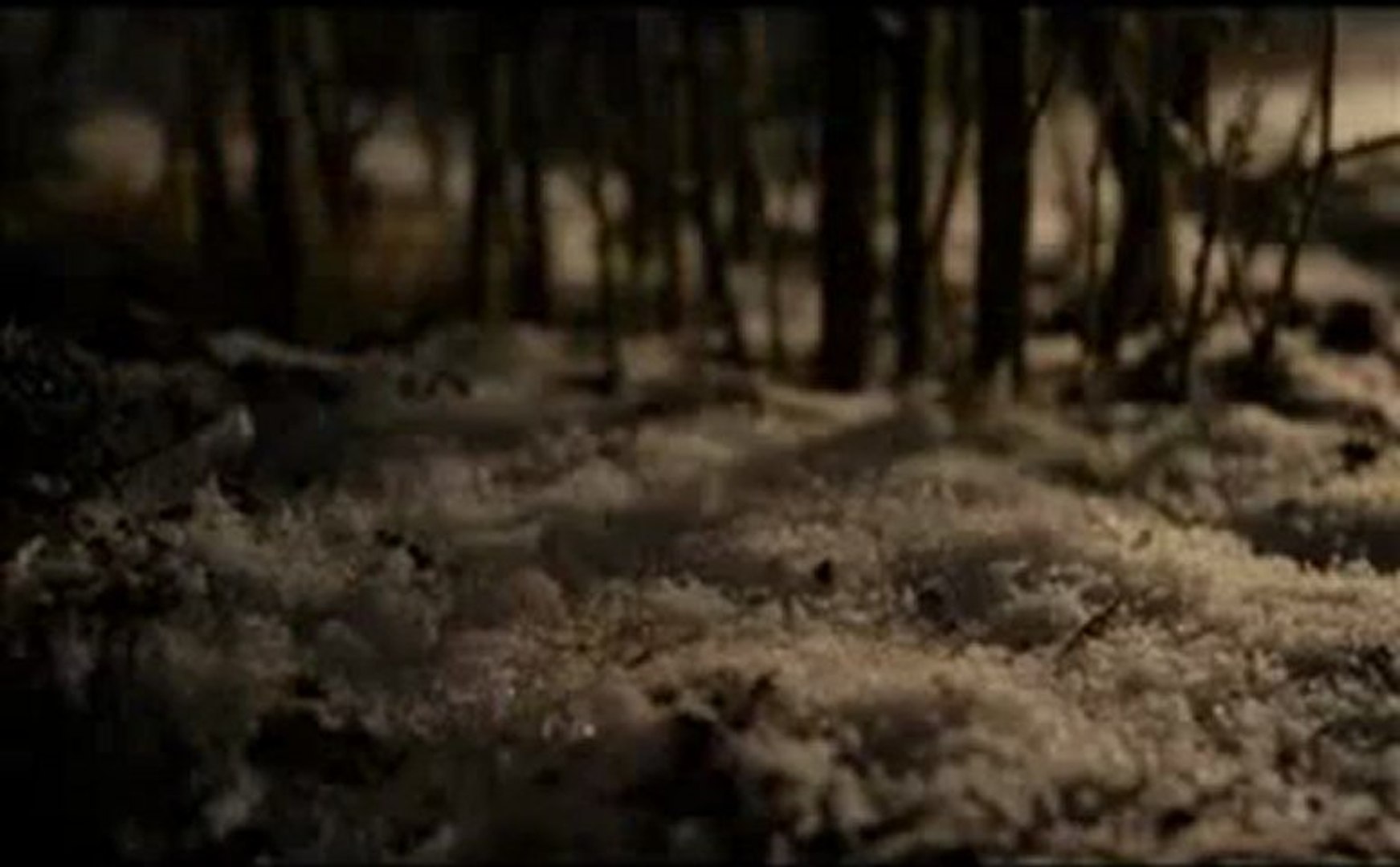 ⁣Fleet Foxes - White Winter Hymnal