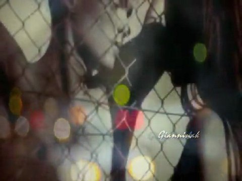 СИГНАЛ МОЖЕ БИ