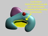 L'inhibition de la transcriptase inverse par un inhibiteur non-nucléosidique de la transcriptase inverse