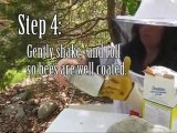 Beekeeping Checking the level of mites in the hive