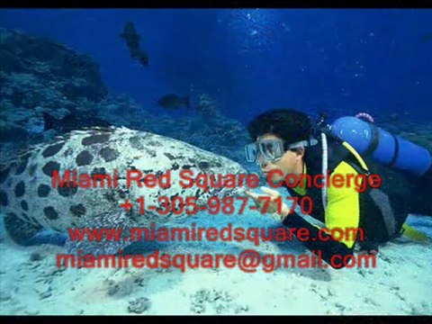 СПОРТ И АКТИВНЫЙ ОТДЫХ В МАЙАМИ.