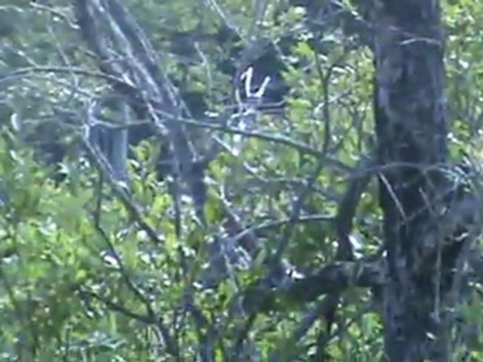 20110813100034