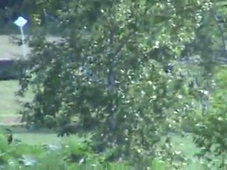 20110813100213
