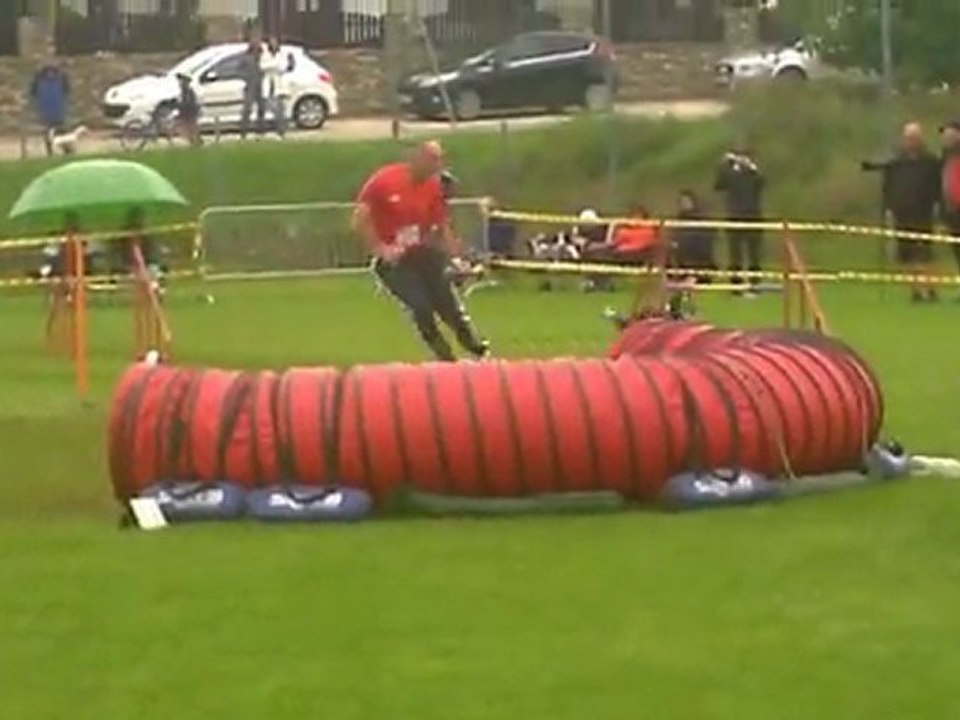 European Open Agility Championships 2011 - Large France