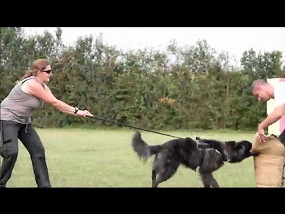 Jackpot DBDM training day 2011