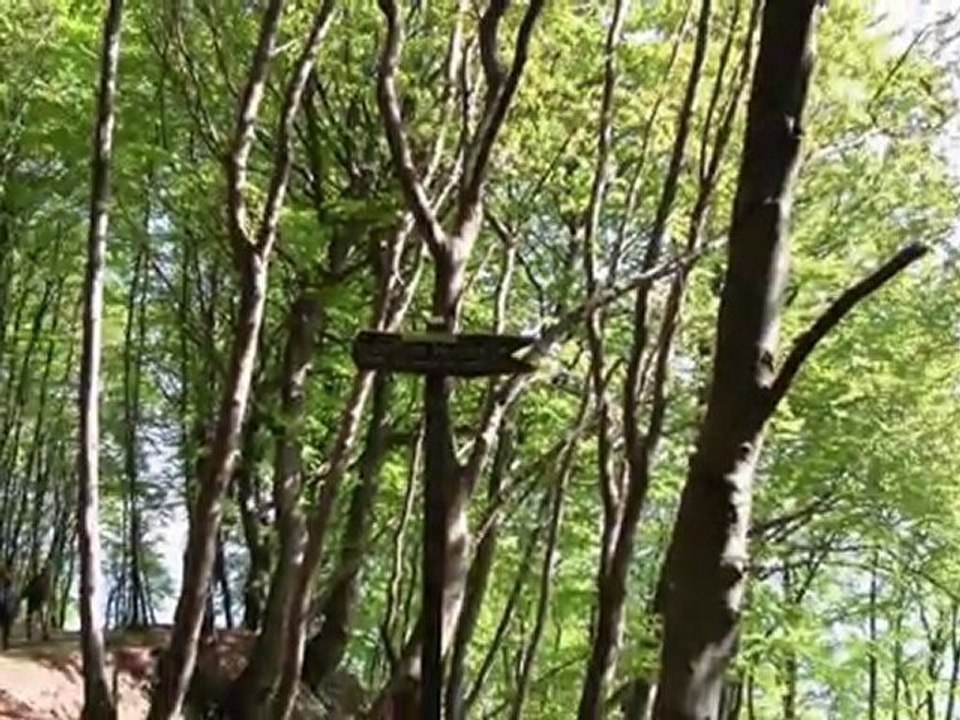 Rügen-Kreidefelsen vom Hochuferweg