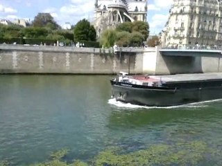 Le Chaland et les Mouettes