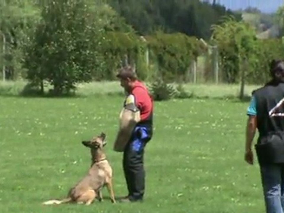 Gilda-IPO1-Juli-2011-Schutz