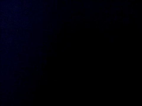 VID 00137-20110816-0124